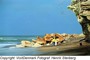 Urlaub mit Hund in D�nemark