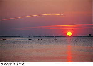 Sonnenuntergang auf Hiddensee