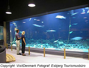 Marinemuseum in Esbjerg