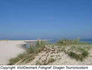 Strand bei Skagen, NordjÃ¼tland