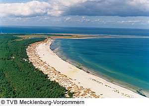 Mecklenburgische OstseekÃ¼ste, Ostsee - Urlaub in einer Ferienwohnung mit Hund