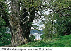 SchloÃŸpark von Putbus, RÃ¼gen