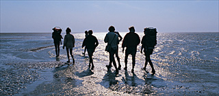 Ferienhäuser Niederlande Ferienwohnungen Niederlande, Nordsee