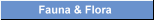 Fauna & Flora an der holl�ndischen K�ste