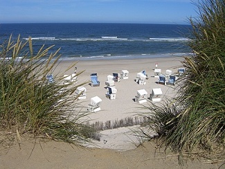 DÃ¼nen-Landschaft an der Nordsee