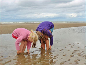 Ferienhaus mit Hund an der Nordsee