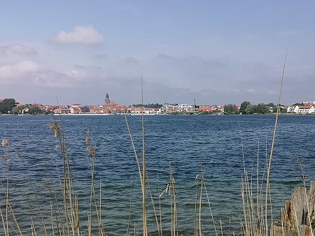 Mecklenburgische Seenplatte vor Waren im Urlaub mit Hund
