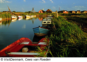 FerienhÃ¤user am RingkÃ¸bing Fjord