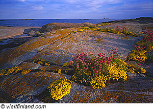 Landschaft in Finnland