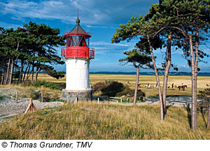 Leuchtturm auf Hiddensee