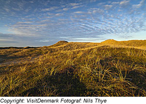 DÃ¼nen bei Llodbjerg, NordjÃ¼tland