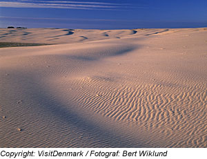 Raabjerg Mile, WanderdÃ¼ne, NordjÃ¼tland