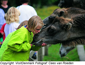 â€žGivskud Zooâ€œ , JÃ¼tland#