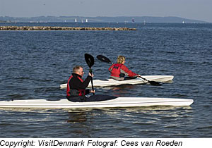 Kanufahrer auf dem Vejle Fjord