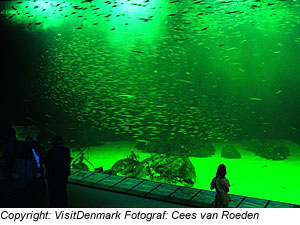 Oceanarium in Hirthals, JÃ¼tland