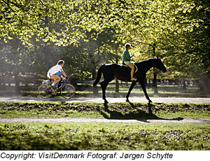 Reiten auf JÃ¼tland, DÃ¤nemark