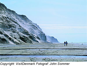 Saltum Strand, Urlaub Ferienhäuser, Dänemark, Ferienhaus,