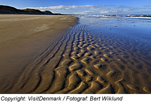 Rubjerg Knude, WanderdÃ¼ne