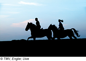 Reiten in Mecklenburg-Vorpommern