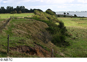 Landschaft am Ijsselmeer, Niederlande