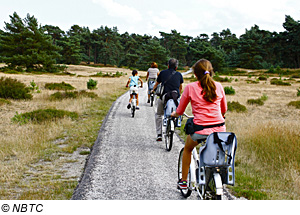 Radfahren am Ijsselmeer, Niederlande