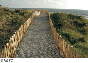 DÃ¼nen in Egmond aan Zee