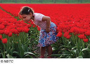 MÃ¤dchen im Tulpenfeld, Niederlande