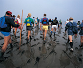 Ferienwohnungen am Waddenzee