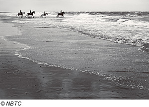 Strand auf Vlieland, Niederlande