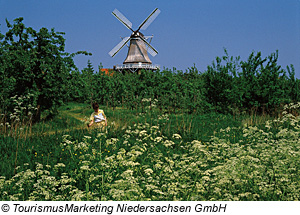 Borsteler MÃ¼hle im Alten Land