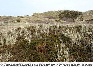 Blick auf die MelkhÃ¶rndÃ¼ne, Langeoog, Niedersachsen