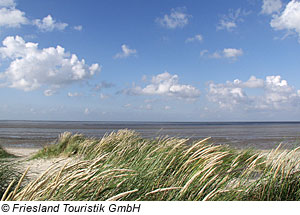 DÃ¼ne bei Horumersiel-Schillig, Niedersachsen