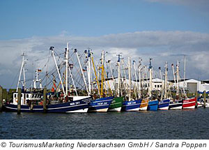 Fischerboote in Norddeich, Niedersachsen