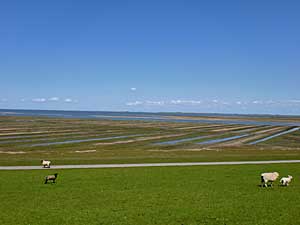 Landschaft an der Schleswig-Holsteinischen NordseekÃ¼ste