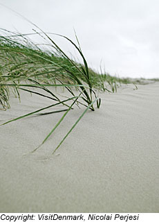 Strand in OstjÃ¼tland