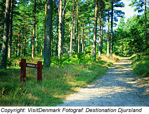 Nationalpark Mols Bjerge 