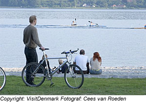 Strand am Vejle Fjord, OstjÃ¼tland