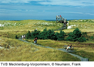 DÃ¼nenlandschaft Fischland Darsst Zingst