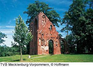 Klosterruine in Greifswald, Mecklenburg-Vorpommern