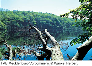 Der Hertha See auf RÃ¼gen