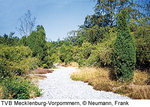 Feuersteinfelder auf der Insel RÃ¼gen