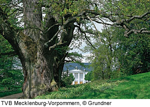 Schlosspark in Putbus, RÃ¼gen