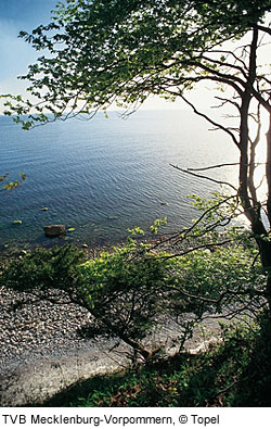 SteilkÃ¼ste mit Blick aufs Meer, RÃ¼gen