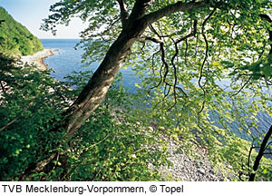 SteilkÃ¼ste mit Blick aufs Meer, RÃ¼gen