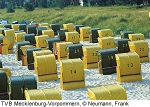 StrankÃ¶rbe am Strand, RÃ¼gen