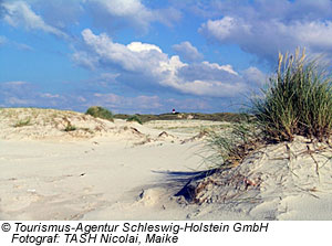 DÃ¼nen im Westen Schleswig-Holsteins