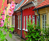 SÃ¼djÃ¼tland Ferienhaus mit Hund, DÃ¤nemark