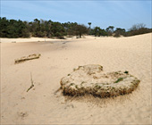 Ferienwohnungen in der Region Nordbrabant