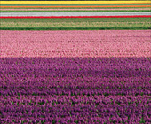 Ferienwohngen in Nordholland